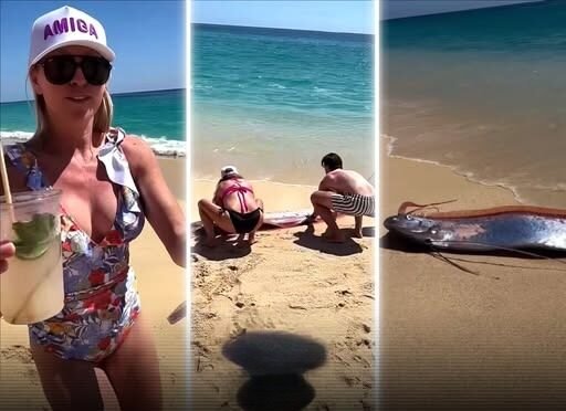 DOOMSDAY FISH FOUND Nature Is Sending A Warning? wo “Doomsday Fish” Wash Up On Mexican Shore And Folks Are Convinced It’s A Sign